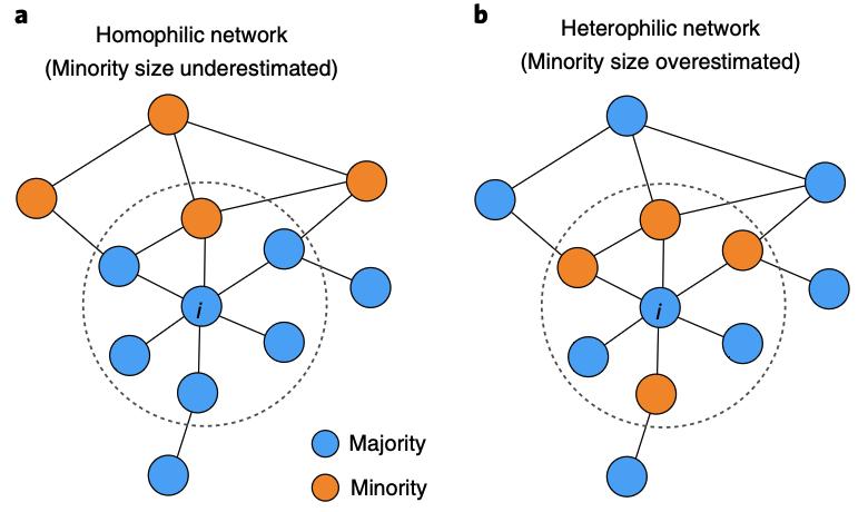 Homophily and minority-group size explain perception biases in social networks