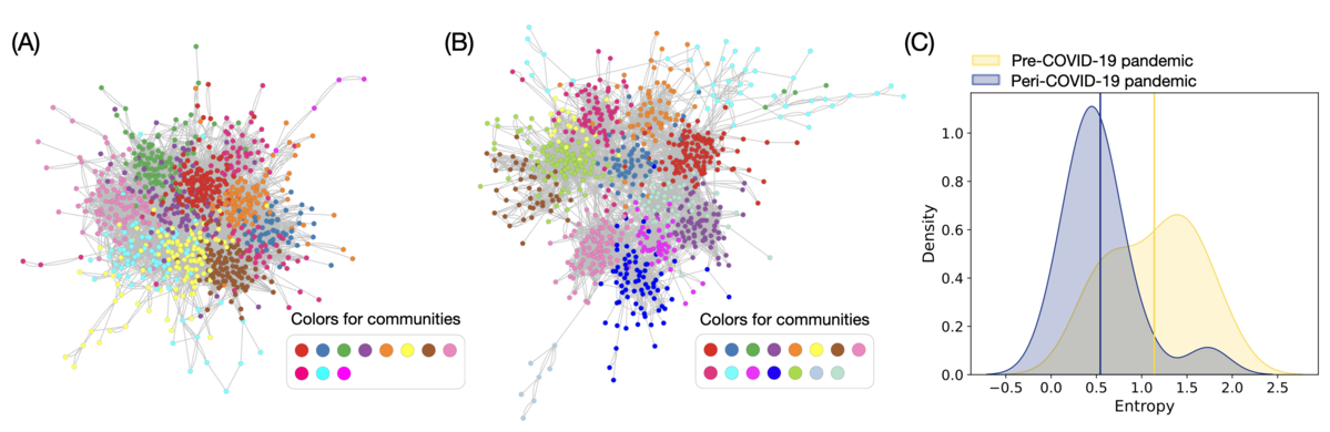 Internet-Based Social Connections of Black American College Students